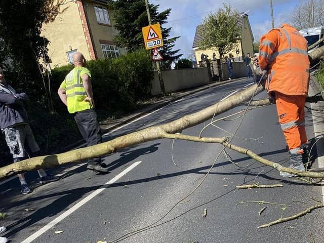 The fallen tree on Wigan Lower Road is sawn up