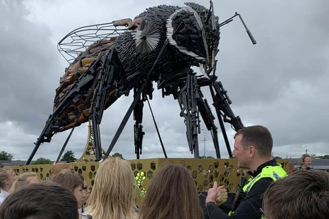 Pupils learn about the bee at Outwood Academy Hindley