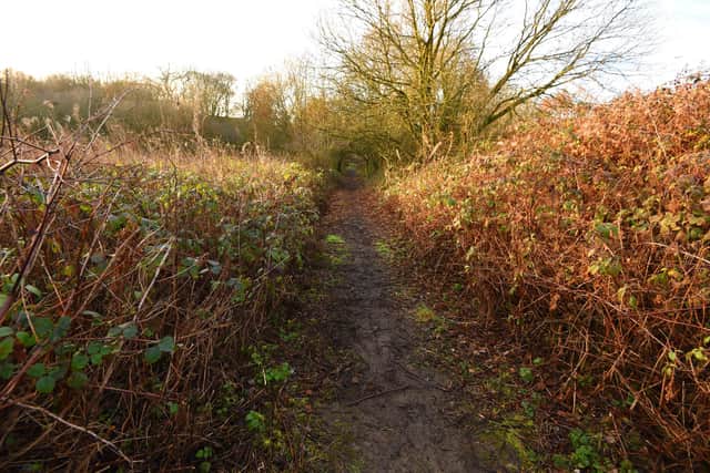 The path near the old Smithy brook, near Brook Lane