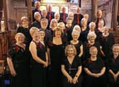 Voices in Harmony at a concert last year before several departures from the alto section