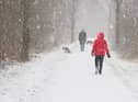 Many dogs still love the chance to go out on adventures during the colder months (photo: Adobe)