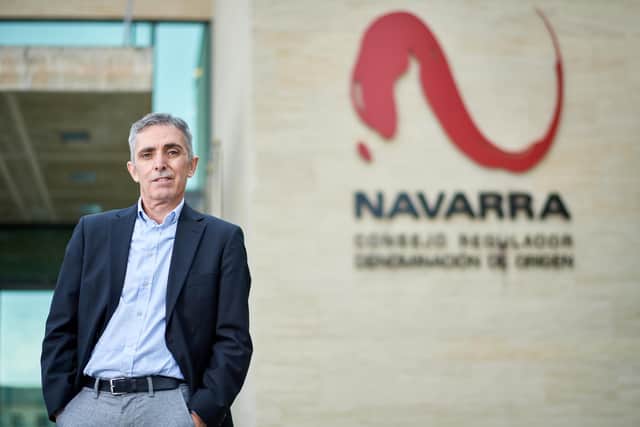 Javier Santafé, the manager of the El Consejo Regulador for the Navarra wine region in Spain