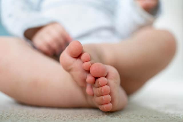 Olivia was the most common girl's name in the area, with 42 babies given that name in 2024