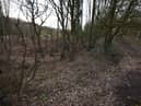 Chorley Road plot