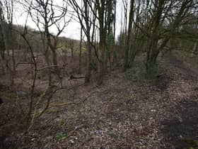 Chorley Road plot