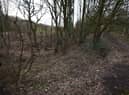Chorley Road plot
