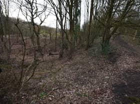 Chorley Road plot