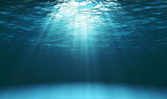 Today (Wednesday, June 8) is World Ocean Day
