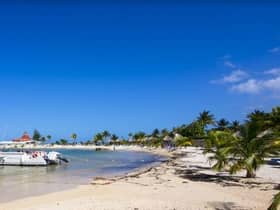 Sports students will travel to Jamaica to work with the rugby league team