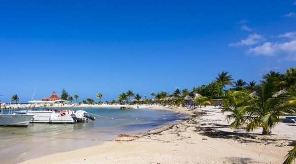 Sports students will travel to Jamaica to work with the rugby league team