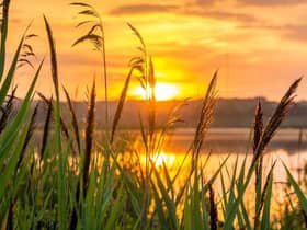 The sun will make a welcome return on Saturday and into next week