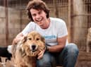 Why not make your New Year resolution to help out as an animal charity volunteer (photo: Adobe)