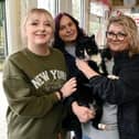 A cat named Sprout is recovering at Brook Farm Cattery, Hindley Green, after suffering awful injuries to its legs. Sprout has been nursed back to health by volunteers from animal rescue Andrea's Legacy, staff at Atherton Vets Practice and Brook Farm Cattery and looking for a forever home. Emily Southworth, left, and Bev Southworth, third from left,  from Brook Farm Cattery, Kathryn Mullaney, second from left, and Jennifer Wilson, right, representing Andrea's Legacy