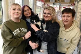 A cat named Sprout is recovering at Brook Farm Cattery, Hindley Green, after suffering awful injuries to its legs. Sprout has been nursed back to health by volunteers from animal rescue Andrea's Legacy, staff at Atherton Vets Practice and Brook Farm Cattery and looking for a forever home. Emily Southworth, left, and Bev Southworth, third from left,  from Brook Farm Cattery, Kathryn Mullaney, second from left, and Jennifer Wilson, right, representing Andrea's Legacy