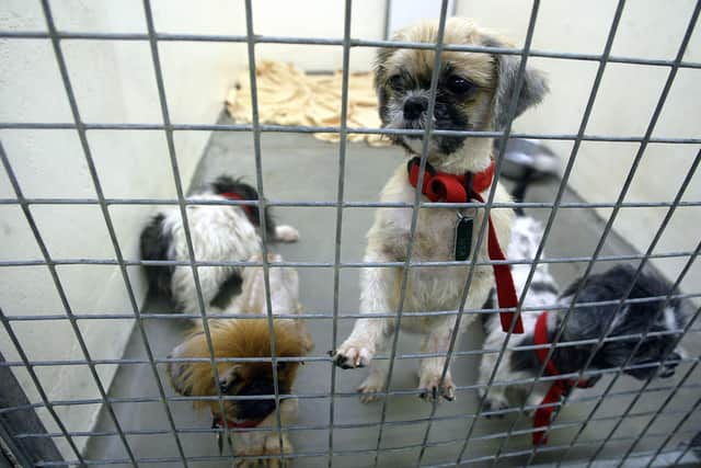RSPCA figures show 1,333 cruelty calls to the charity's emergency line were for incidents reported in Greater Manchester in June, July and August last year – a four per cent fall on 1,384 calls in the summer of 2023