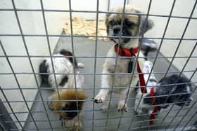 RSPCA figures show 1,333 cruelty calls to the charity's emergency line were for incidents reported in Greater Manchester in June, July and August last year – a four per cent fall on 1,384 calls in the summer of 2023