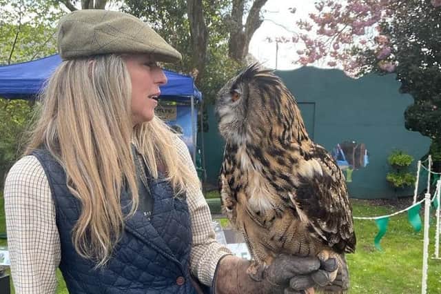 Owlfest returned to Standish on April 29, letting residents celebrate the emblem of the village.