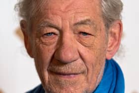 Sir Ian McKellen (file picture) (Ben A. Pruchnie/Getty Images)