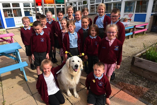 Members of the Eco Council with school therapy dog Albi, celebrate World Bee Day.