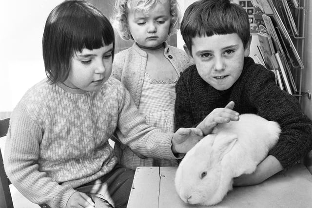 A cuddlesome companion for young patients in Wrightington Hospital children's ward in 1968.