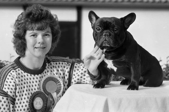 Diane Lewis of Standish with her French bulldog titled Nokomis Walking Bear at Kendi which was successful at the annual Crufts dog show in February 1989. With its pet name Louis it won the third challenge certificate of its 19 month show career thereby qualifying as a champion.