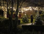 Dealing with stress during the festive period.
