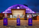 The Rugby League World Cup finals take place this weekend