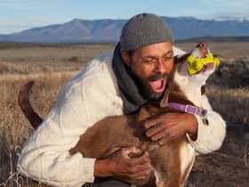 Men are keener to cosy up with their pet than women, research found (photo: Adobe)