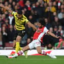 Ashley Fletcher