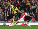 Ashley Fletcher