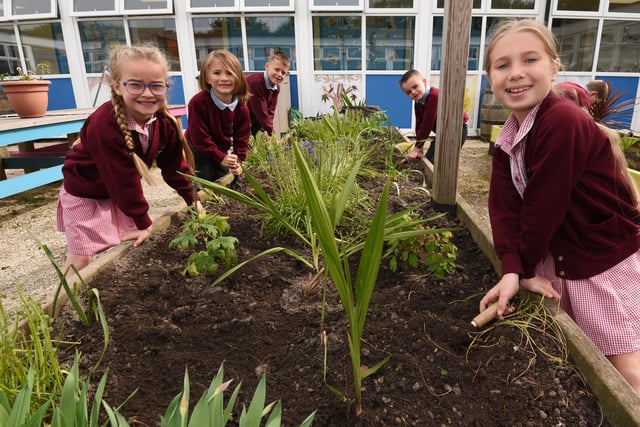 Members of the eco council working on the bee-friendly garden.
