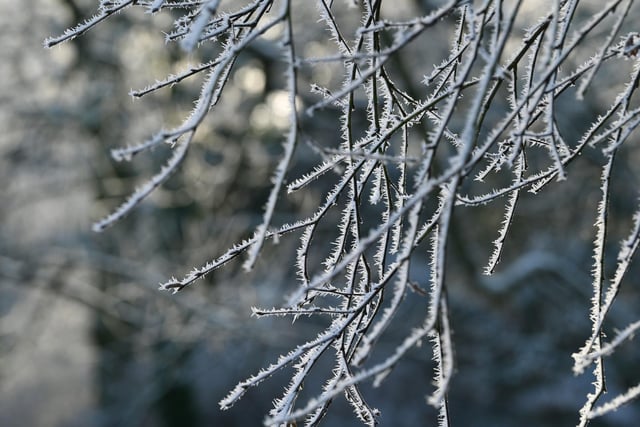 Wigan snow scenes - Snow falls on Mesnes Park, Wigan.