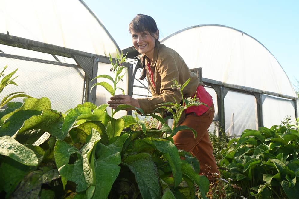 Members and volunteers use their knowledge and skills to create fantastic produce, such as herbs, fruit and vegetables at Greenslate Community Farm, Billinge.