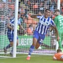 The ecstasy of Josh Magennis' equaliser was sadly followed all too soon by the agony of a stoppage-time Blackpool winner