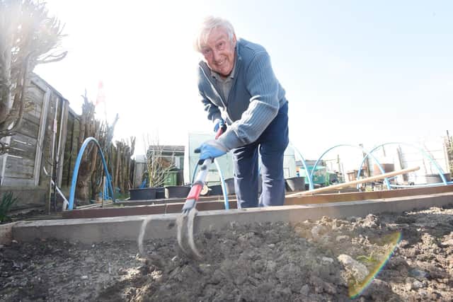 Keith Moss at his allotment on Balcarres Avenue, Whelley, in 2020