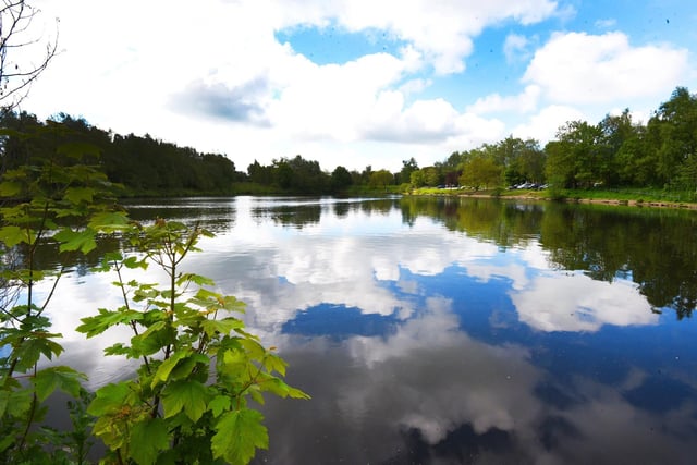 This park includes two reservoirs surrounded by woodland and buttercup meadows. There is even a small children's play area to let your little ones run off some steam.