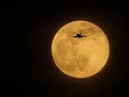 The full moon of March is known as the ‘Worm Moon’ and it will take place on Tuesday, March 7 (12.40pm). Following the cold weather of Winter, in March we see the ice begin to thaw and thus an increase in the number of earthworms being active in the soil, hence the name.