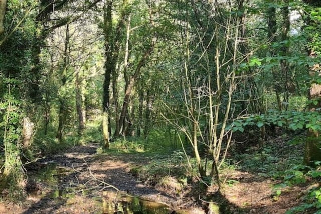 To the north of Hindley, the public footpath runs through the middle of the woodland following the line of Borsdane Brook