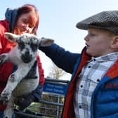 All Days Community Learning Farm bring a selection of animals to Wood Fold Primary School, Standish, for nursery and reception school children to meet and learn about.