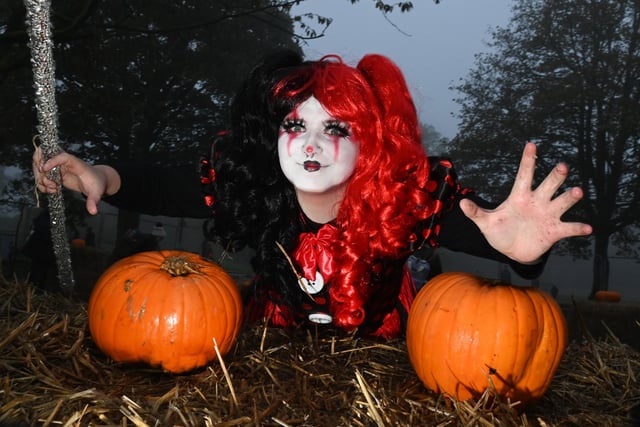 Spooky scenes at the pumpkin patch event at Haigh Woodland Park.