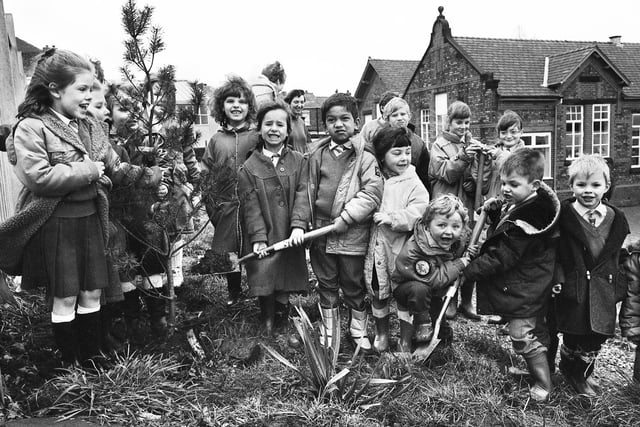 Pupils at St. Andrews Primary School, Springfield, planting trees to create a wildlife area financed by Wigan Groundwork Trust on Thursday 9th of March 1989.