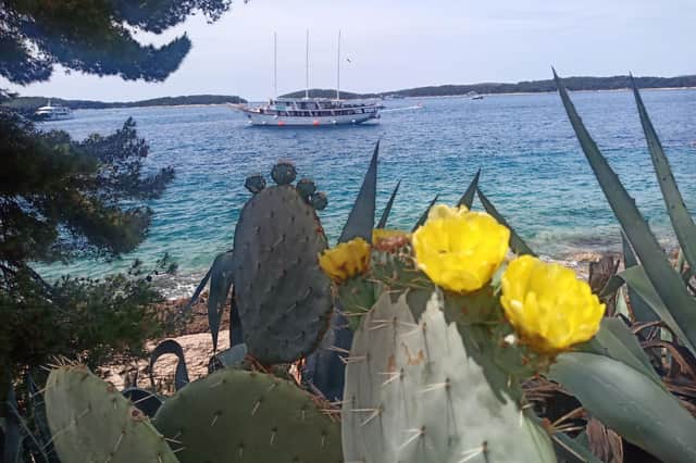 A view from the beautiful Croatian island of Brac