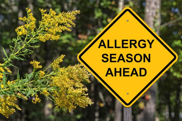 Hay fever season is upon us - be prepared!