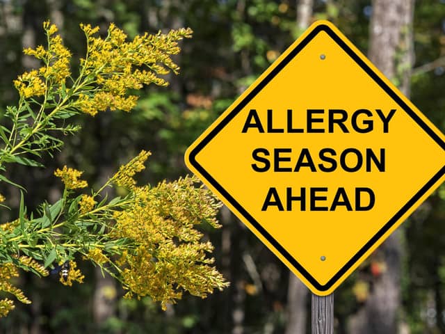 Hay fever season is upon us - be prepared!