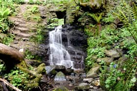 Fairy Glen was named as the top thing to do in Appley Bridge and scored 4.5 out of 5 from 230 reviews. One review from August 2023 said: "We like to go here as a family to look for fairies. We go all year round taking fairy dust to sprinkle and a picnic. Our favourite time to visit is winter when there has been lots of rain fall. We love to splash in the water play on the mud hills and build dams. Easy scenic walk suitable for young families and dog walkers."