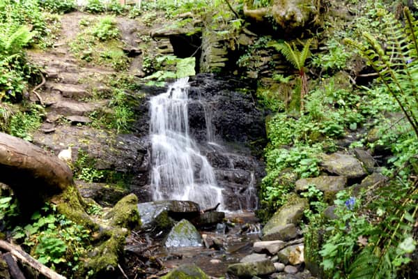 Fairy Glen was named as the top thing to do in Appley Bridge and scored 4.5 out of 5 from 230 reviews.