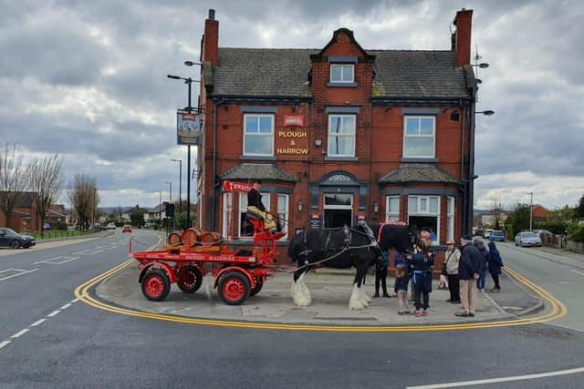 Shire horses at the Plough and Harrow pub, in Shevington. All pictures: Farrah Barrington