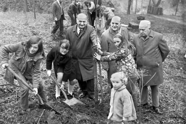 Tree planting in Borsdane Wood, Hindley, in 1971.
