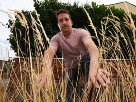 Coun Steve Jones surveys the weeds on Grange Road, Bryn