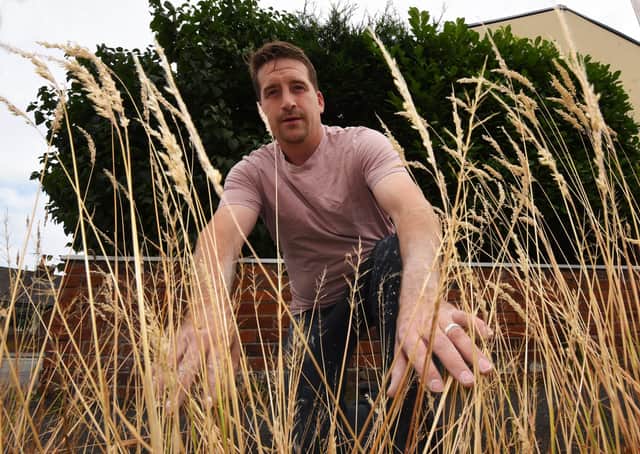 Coun Steve Jones surveys the weeds on Grange Road, Bryn